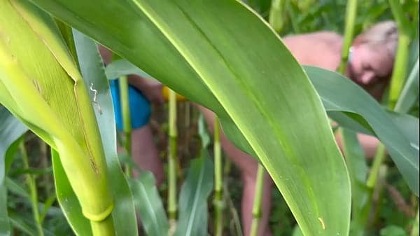 Outdoor strap on fucking in cornfield with HUGE dildo